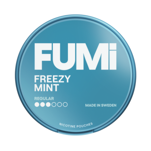 Fumi Salty Freezy Mint Regular