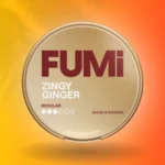 Fumi Zingy Ginger Regular