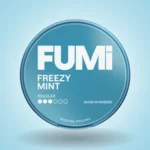 Fumi Salty Freezy Mint Regular