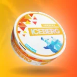 Iceberg Medium Arasaka 20mg