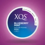 XQS Blueberry Mint