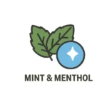 Mint & Menthol Nicotine Pouch Flavours